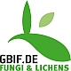 To GBIF-D Fungi & Lichens