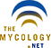 to The Mycology.Net